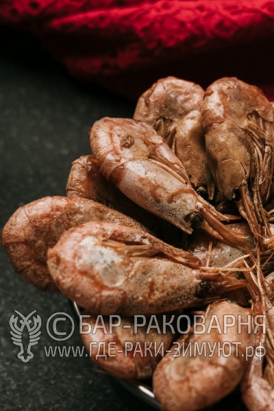 Раковарня в Сочи
