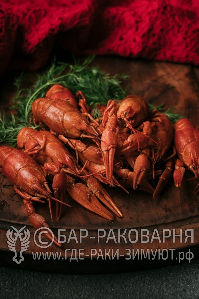 Раковарня в Сочи