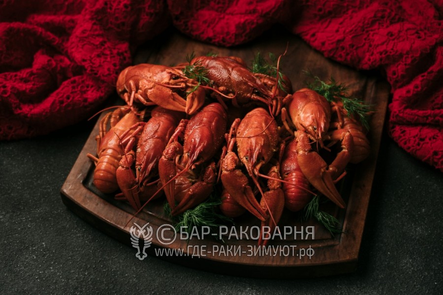 Раковарня в Сочи